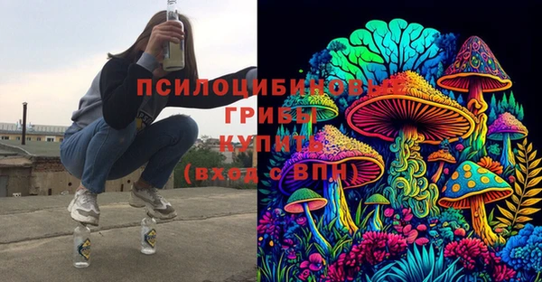прущая мука Абаза