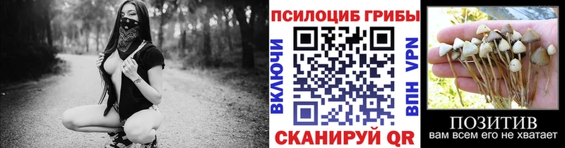 закладки Кяхта shop как зайти Псилоцибиновые грибы мицелий